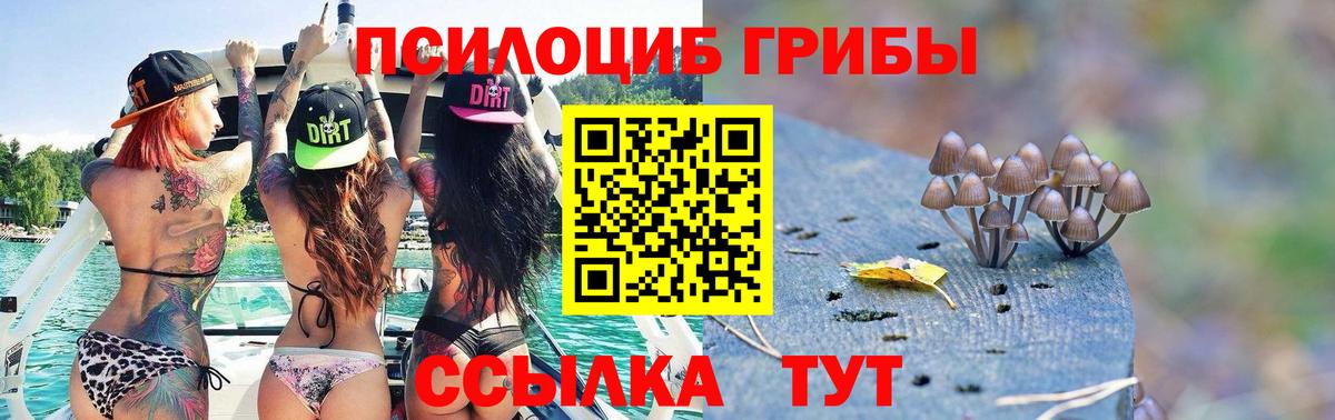 Галлюциногенные грибы мухоморы  Вход с VPN  Саров 
